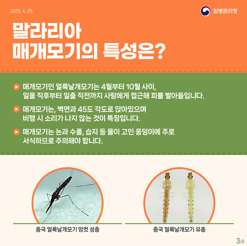 말라리아 매개모기의 특성은? 매개모기인 얼룩날개모기는 4월부터 10월 사이, 일몰 직후부터 일출 직전까지 사람에게 접근해 피를 빨아들입니다 매개 모기는 벽면과 45도 각도로 앉아 있으며 비행 시 소리가 나지 않는 것이 특징입니다. 매개모기는 논과 수풀 , 습지 등 물이 고인 웅덩이에 주로 서식하므로 주의해야 합니다